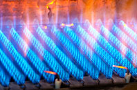 Winterborne Zelston gas fired boilers